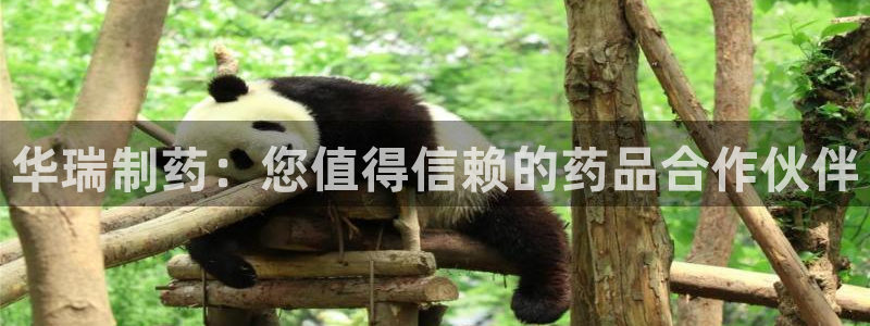 九游会老哥俱乐部官方网站：华瑞制药：您值得信赖的药品合作伙伴