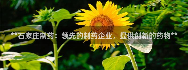 老哥吧九游会：**石家庄制药：领先的制药企业，提供创新的药物**