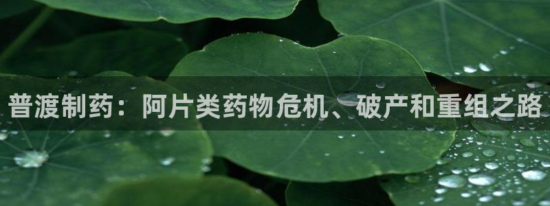 九游会老哥俱乐部官网首页论坛：普渡制药：阿片类药物危机、破产和重组之路
