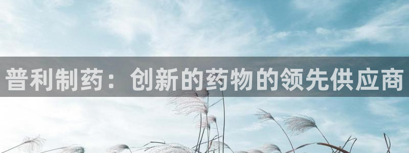 ag九游老哥俱乐部：普利制药：创新的药物的领先供应商