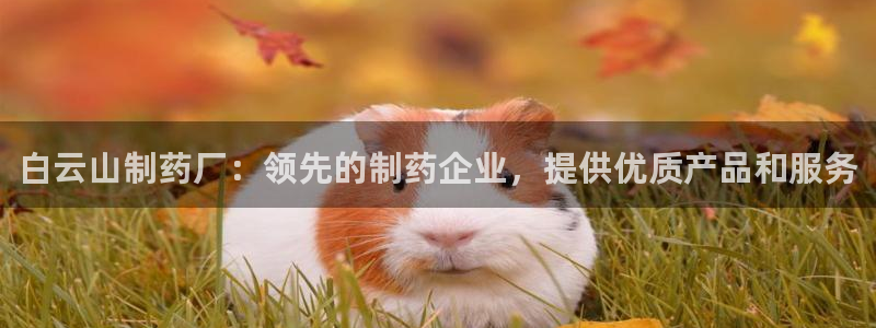 九游会老哥俱乐部官网：白云山制药厂：领先的制药企业，提供优质产品和服务