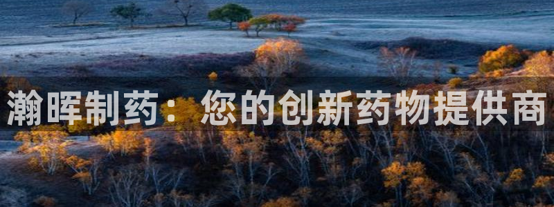 九游会老哥必备的交流社区：瀚晖制药：您的创新药物提供商