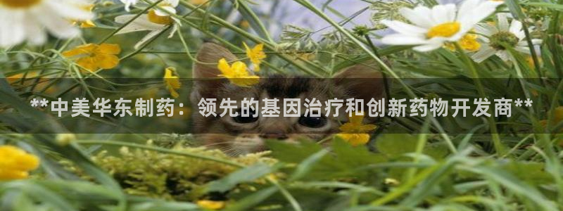 9游会老哥：**中美华东制药：领先的基因治疗和创新药物开发商**