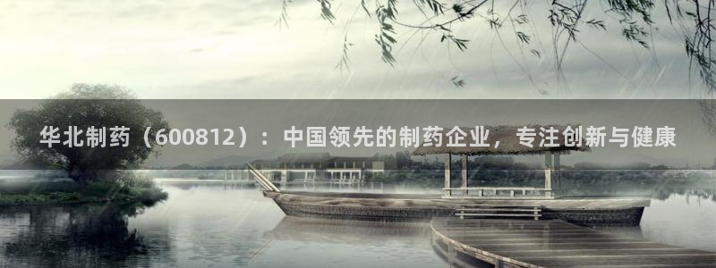 九游会老哥俱乐部：华北制药（600812）：中国领先的制药企业，专注创新与健康