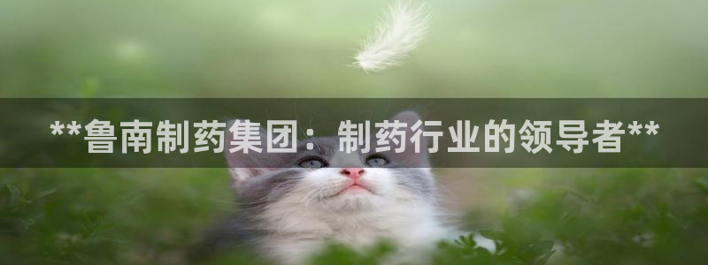 九游老哥俱乐部官网登录入口：**鲁南制药集团：制药行业的领导者**