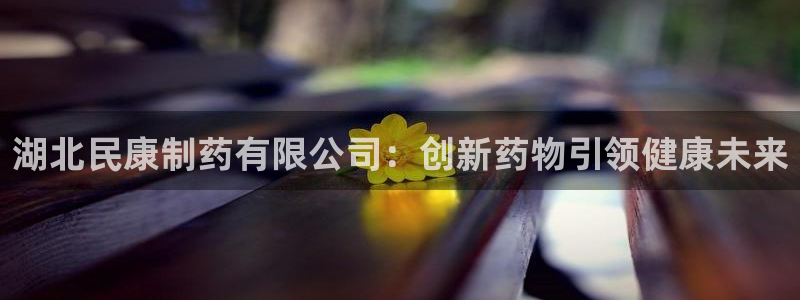 九游会老哥俱乐部社区论坛：湖北民康制药有限公司：创新药物引领健康未来