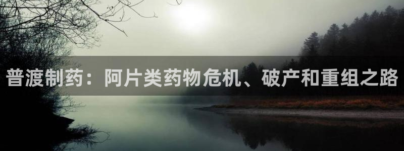 九游会老哥俱乐部官网：普渡制药：阿片类药物危机、破产和重组之路