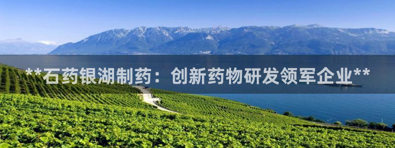 ag九游会老哥：**石药银湖制药：创新药物研发领军企业**