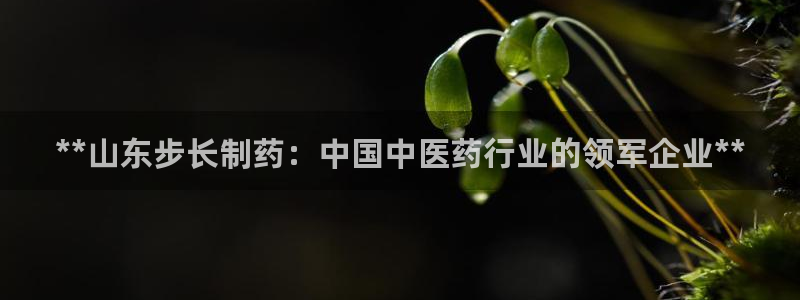 老哥吧九游会下架吗：**山东步长制药：中国中医药行业的领军企业**