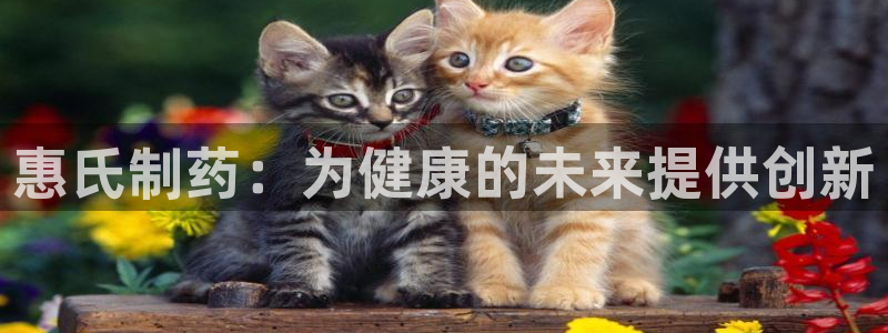 老哥吧九游会：惠氏制药：为健康的未来提供创新