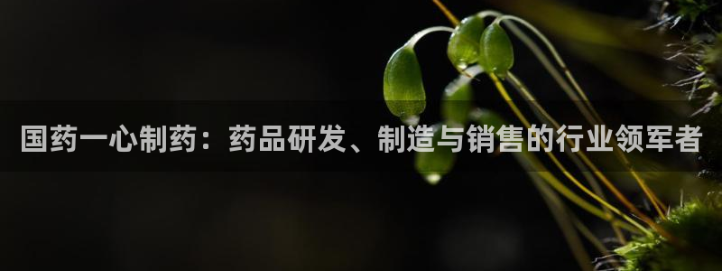 9游会老哥：国药一心制药：药品研发、制造与销售的行业领军者