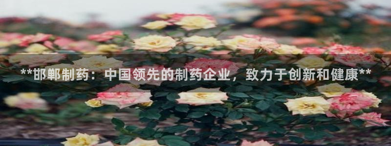 九游老哥俱乐部官网登录：**邯郸制药：中国领先的制药企业，致力于创新和健康**