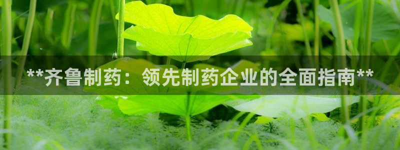 九游会老哥俱乐部官网首页论坛：**齐鲁制药：领先制药企业的全面指南**