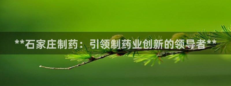 老哥俱乐部是干什么的：**石家庄制药：引领制药业创新的领导者**