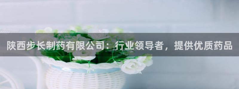 九游老哥俱乐部官网登录网址：陕西步长制药有限公司：行业领导者，提供优质药品