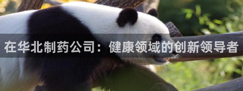 九游老哥俱乐部官网登录：在华北制药公司：健康领域的创新领导者