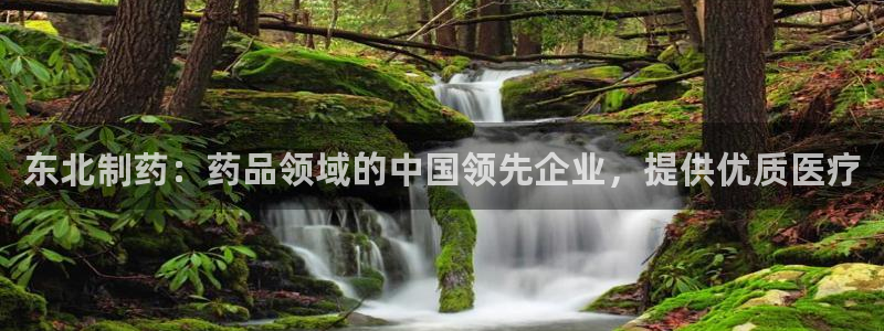 9游会老哥俱乐部：东北制药：药品领域的中国领先企业，提供优质医疗