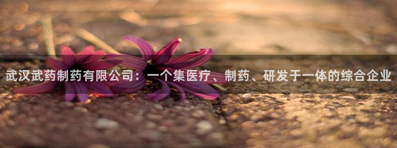 九游老哥俱乐部官网登录不了：武汉武药制药有限公司：一个集医疗