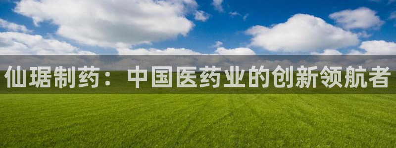 老哥吧九游会：仙琚制药：中国医药业的创新领航者