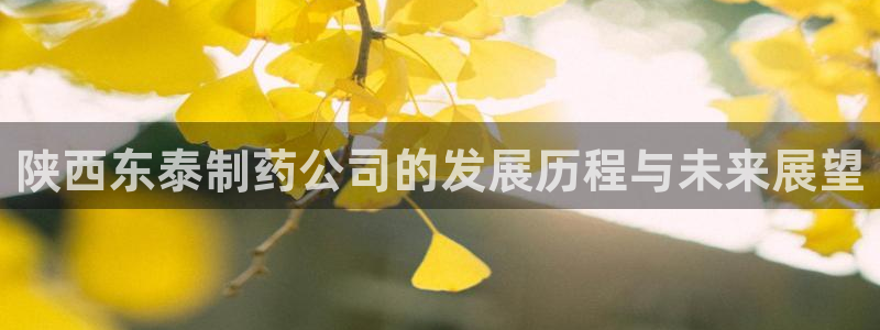 九游老哥俱乐部登录：陕西东泰制药公司的发展历程与未来展望