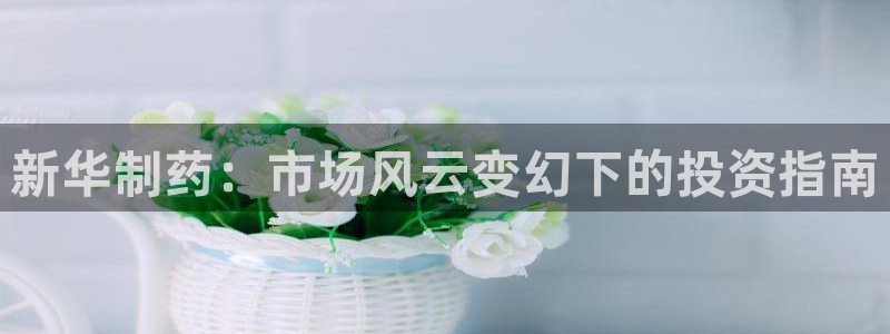 九游老哥俱乐部官网登录不了：新华制药：市场风云变幻下的投资指南