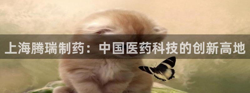 九游老哥俱乐部官网登录：上海腾瑞制药：中国医药科技的创新高地