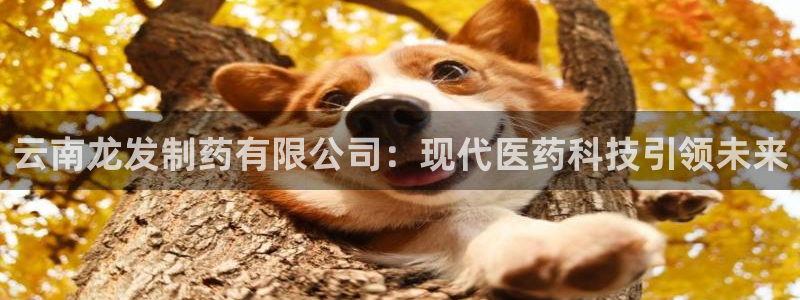 ag九游会老哥俱乐部