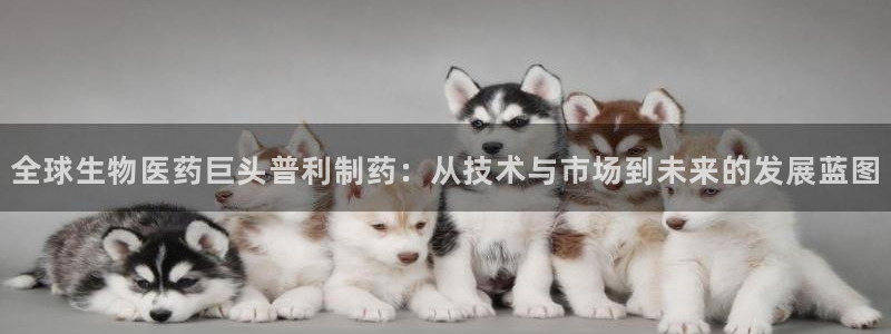 老哥吧九游会：全球生物医药巨头普利制药：从技术与市场到未来的发展蓝图