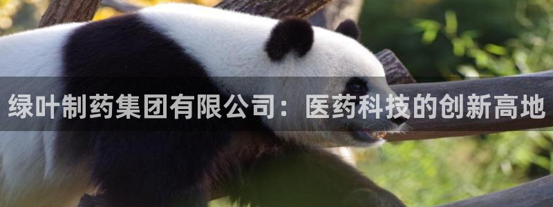 九游会老哥俱乐部：绿叶制药集团有限公司：医药科技的创新高地