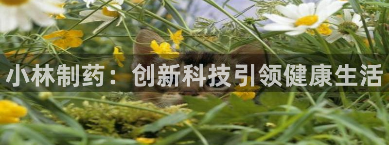 老哥俱乐部是干什么的