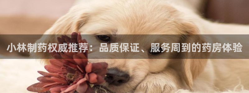 ag九游会老哥俱乐部：小林制药权威推荐：品质保证、服务周到的药房体验