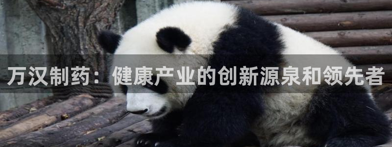 j9九游会老哥俱乐部交流区：万汉制药：健康产业的创新源泉和领先者