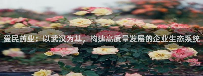 九游会老哥俱乐部必备的交流社区：爱民药业：以武汉为基，构建高质量发展的企业生态系统