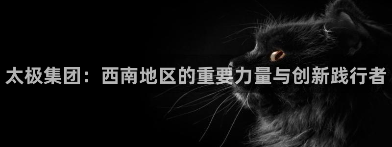 九游会老哥必备的交流社区九：太极集团：西南地区的重要力量与创新践行者