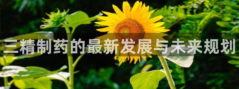 九游会老哥必备的交流社区：三精制药的最新发展与未来规划