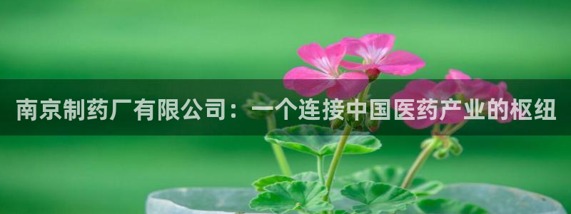 9游会老哥俱乐部：南京制药厂有限公司：一个连接中国医药产业的枢纽