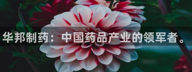 9游会老哥：华邦制药：中国药品产业的领军者。