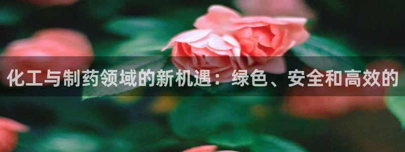 九游会老哥俱乐部必备的交流社区论坛：化工与制药领域的新机遇：绿色、安全和高效的