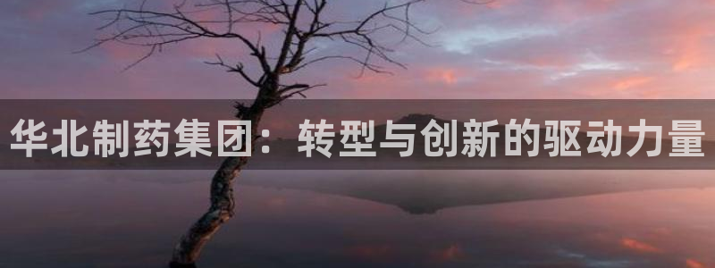 9游会老哥：华北制药集团：转型与创新的驱动力量