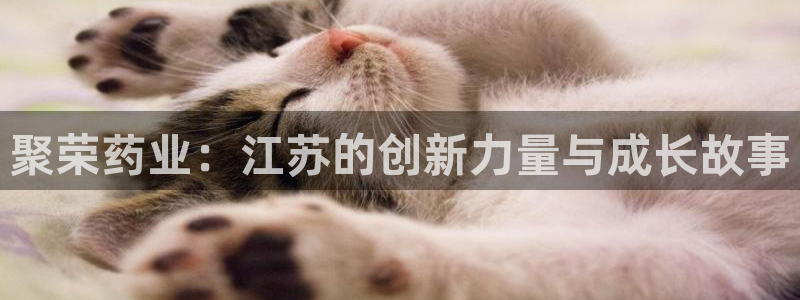 九游老哥俱乐部官网登录入口：聚荣药业：江苏的创新力量与成长故事