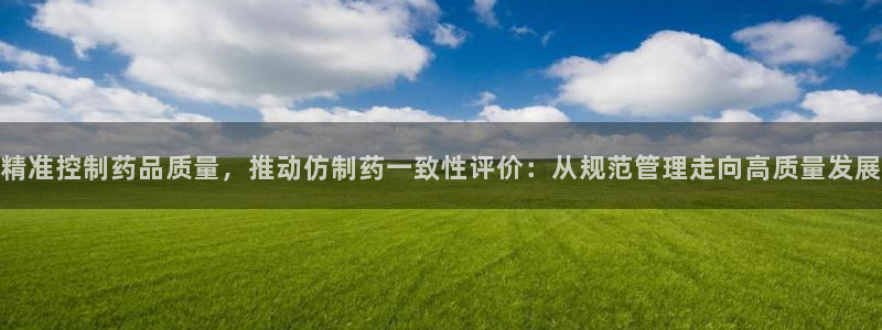 九游老哥俱乐部官网登录入口：精准控制药品质量，推动仿制药一致性评价：从规范管理走向高质量发展
