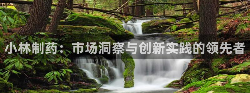 9游会老哥俱乐部：小林制药：市场洞察与创新实践的领先者