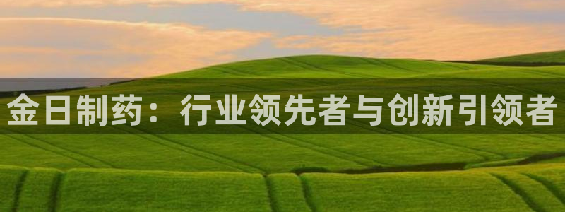 九游会老哥俱乐部：金日制药：行业领先者与创新引领者