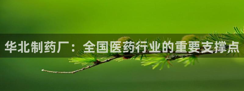 j9九游会老哥俱乐部交流区：华北制药厂：全国医药行业的重要支撑点