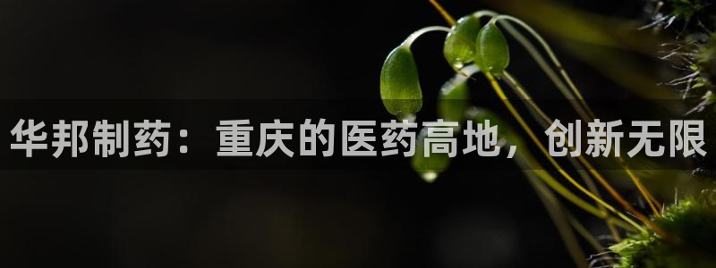 ag九游会老哥俱乐部