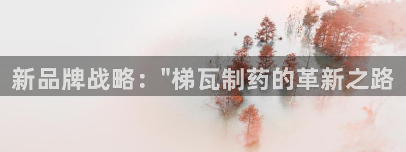 j9九游会老哥俱乐部交流区：新品牌战略：\