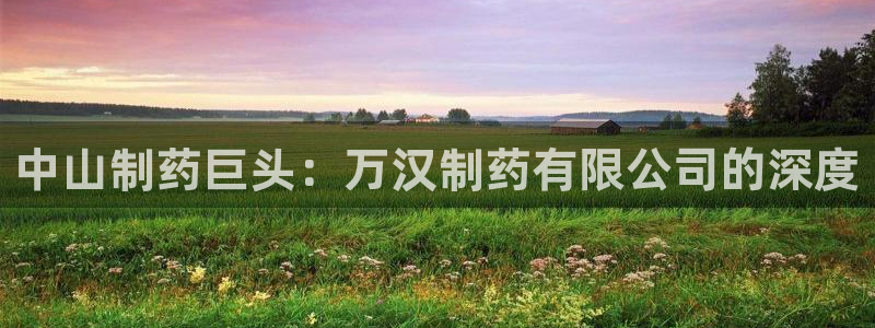 九游会老哥俱乐部交流社区：中山制药巨头：万汉制药有限公司的深度