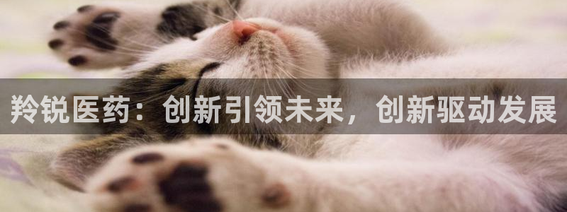 九游会老哥俱乐部交流社区：羚锐医药：创新引领未来，创新驱动发展