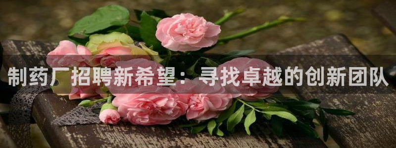 九游会老哥俱乐部官网：制药厂招聘新希望：寻找卓越的创新团队