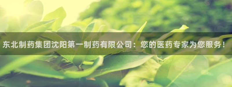 九游会老哥必备的交流社区九：东北制药集团沈阳第一制药有限公司：您的医药专家为您服务！